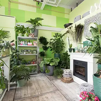 Planten Planten